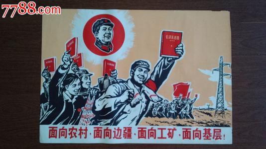 学位证书编号有字母吗